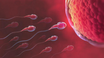 Giải đáp tinh trùng yếu có thụ thai được không?