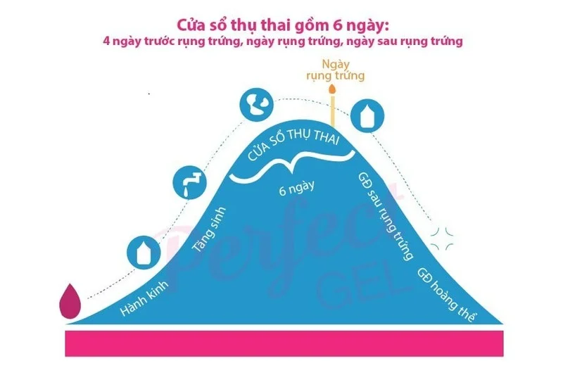 Lời khuyên giúp các Ba Mẹ tối ưu hóa khả năng mang thai tự nhiên 3 Lời khuyên giúp các Ba Mẹ tối ưu hóa khả năng mang thai tự nhiên