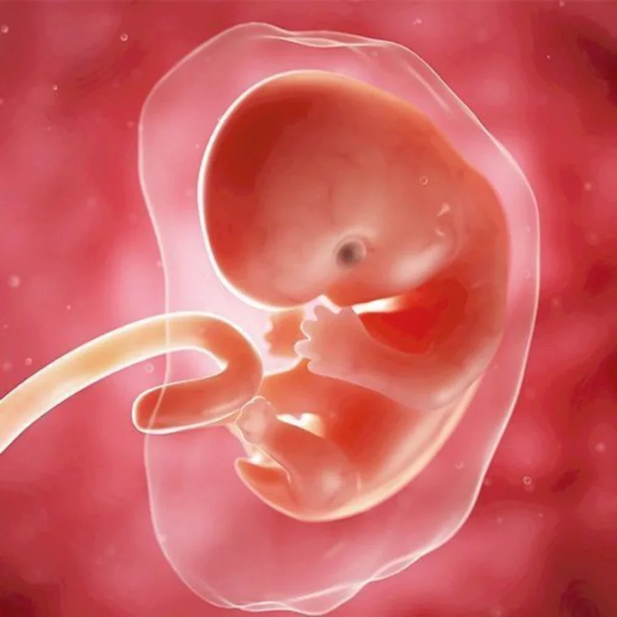 IVF là gì? Khi nào sử dụng biện pháp thụ tinh trong ống nghiệm? 3 Khi nào sử dụng biện pháp thụ tinh trong ống nghiệm