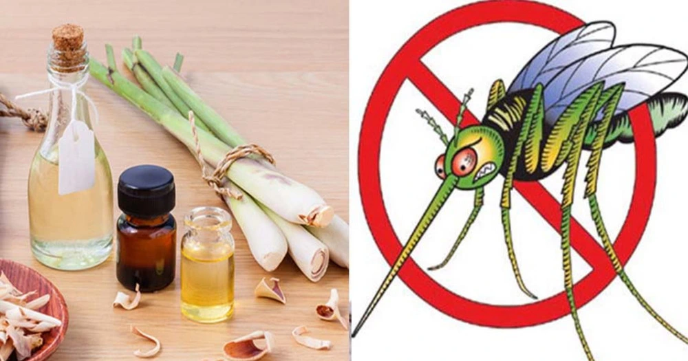 Bảo vệ mẹ và bé: Bí quyết phòng tránh các bệnh lây nhiễm khi mang thai 3 Bảo vệ mẹ và bé: Bí quyết phòng tránh các bệnh lây nhiễm khi mang thai