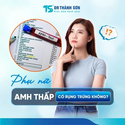 amh thấp có rụng trứng không