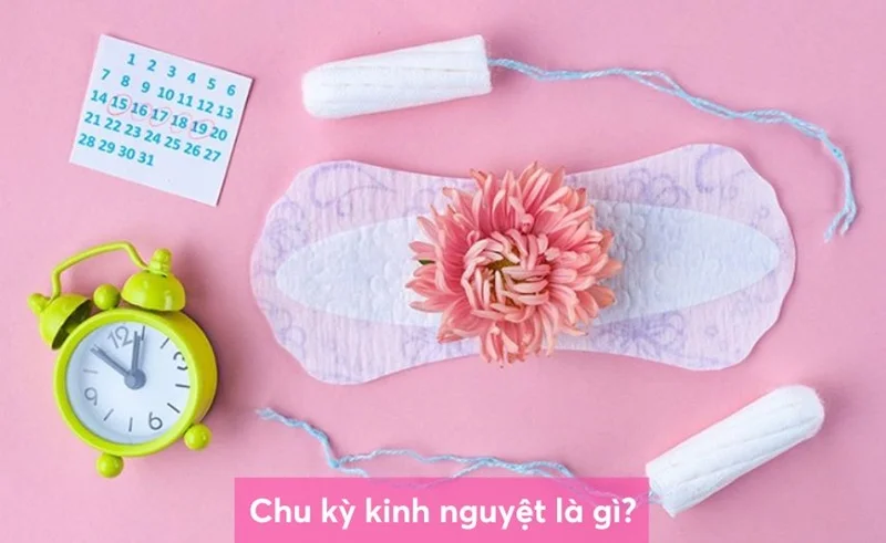 Cẩm nang đầy đủ về kinh nguyệt dành cho mọi lứa tuổi 1 Cẩm nang đầy đủ về kinh nguyệt dành cho mọi lứa tuổi