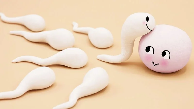 Cẩm nang đầy đủ về kinh nguyệt dành cho mọi lứa tuổi 3 Cẩm nang đầy đủ về kinh nguyệt dành cho mọi lứa tuổi