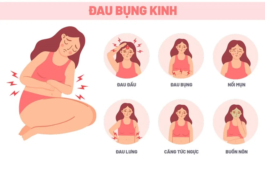 Cẩm nang đầy đủ về kinh nguyệt dành cho mọi lứa tuổi Cẩm nang đầy đủ về kinh nguyệt dành cho mọi lứa tuổi