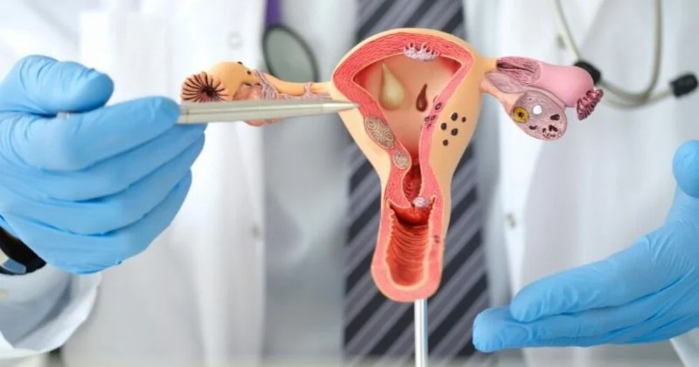 Siêu âm đầu dò được sử dụng để chẩn đoán những bệnh gì? 1 Siêu âm đầu dò được sử dụng để chẩn đoán những bệnh gì (1)