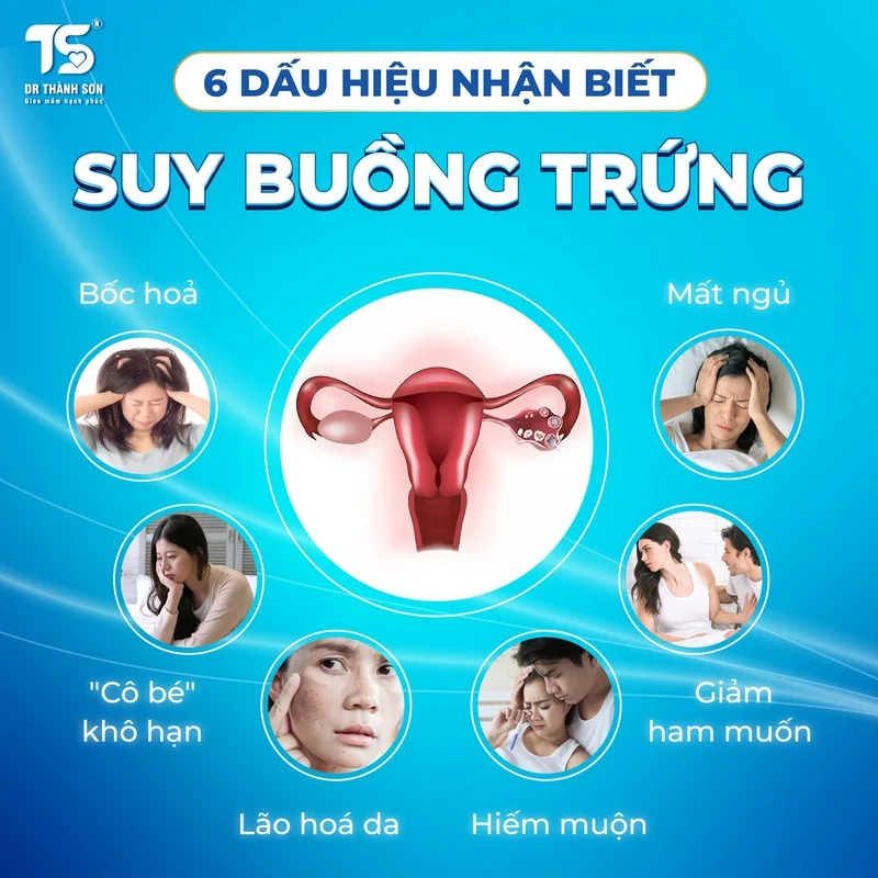AMH thấp là gì? Nguyên nhân & Cách cải thiện tăng khả năng thụ thai 2 AMH thấp là gì Nguyên nhân & Cách cải thiện tăng khả năng thụ thai