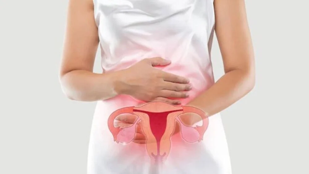 Suy buồng trứng là gì? Nguyên nhân, dấu hiệu và cách điều trị 3 Suy buồng trứng là gì? Nguyên nhân, dấu hiệu và cách điều trị