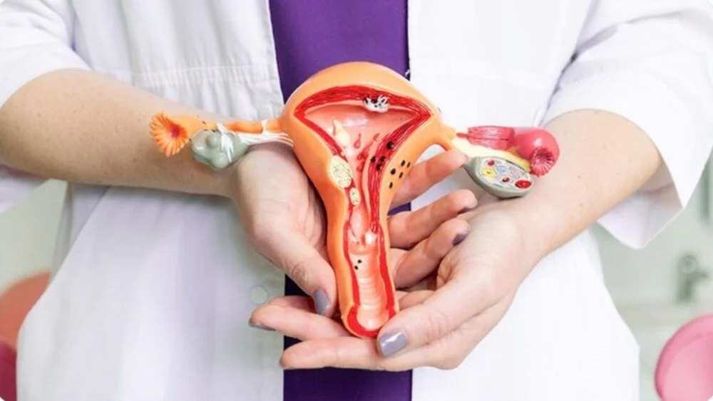 90% phụ nữ mắc sai lầm này khiến trứng yếu & kém: Bạn có phải là một trong số đó? 7 90% phụ nữ mắc sai lầm này khiến trứng yếu & kém Bạn có phải là một trong số đó