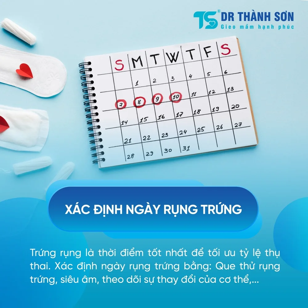 Bật mí bí quyết tính ngày rụng trứng chính xác, tăng cơ hội mang thai tự nhiên 1 Bật mí bí quyết tính ngày rụng trứng chính xác, tăng cơ hội mang thai tự nhiên