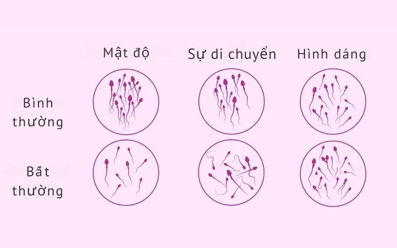 Khám tiền hôn nhân gần Gia Lâm, Đông Anh – Gợi ý địa chỉ được đánh giá cao 2 Khám tiền hôn nhân gần Gia Lâm, Đông Anh – Gợi ý địa chỉ được đánh giá cao