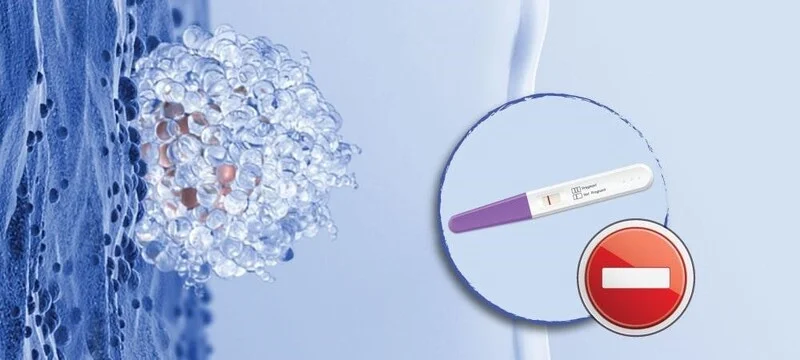 Canh trứng sau IVF – khác gì với canh trứng thông thường? 1 Canh trứng sau IVF – khác gì với canh trứng thông thường?