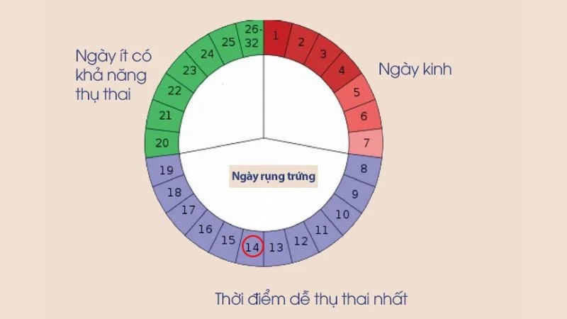 Canh trứng sau IVF – khác gì với canh trứng thông thường? 2 Canh trứng sau IVF – khác gì với canh trứng thông thường?