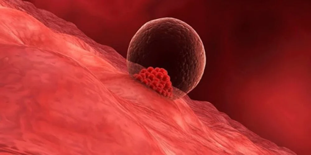 Estrogen, Progesterone, FSH, LH – Bộ nội tiết quan trọng cần theo dõi khi khó có thai 2 Estrogen, Progesterone, FSH, LH – Bộ nội tiết quan trọng cần theo dõi khi khó có thai
