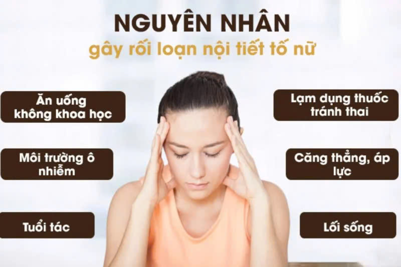 Nội tiết nữ là gì? Ảnh hưởng thế nào đến khả năng đậu và giữ thai? 3 Nội tiết nữ là gì Ảnh hưởng thế nào đến khả năng đậu và giữ thai