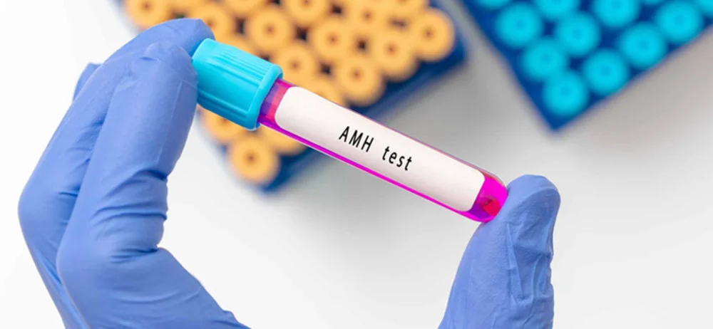 PCOS, thừa cân và trứng kém phát triển – Liệu có thể mang thai tự nhiên? 3 PCOS, thừa cân và trứng kém phát triển – Liệu có thể mang thai tự nhiên?