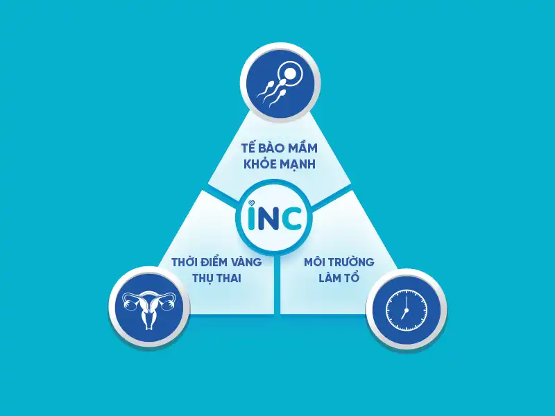 Tam giác thụ thai thành công – 3 yếu tố quyết định mang thai tự nhiên 1 Tam giác thụ thai thành công – 3 yếu tố quyết định mang thai tự nhiên