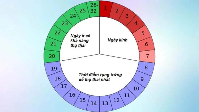 Tam giác thụ thai thành công – 3 yếu tố quyết định mang thai tự nhiên 3 Tam giác thụ thai thành công – 3 yếu tố quyết định mang thai tự nhiên